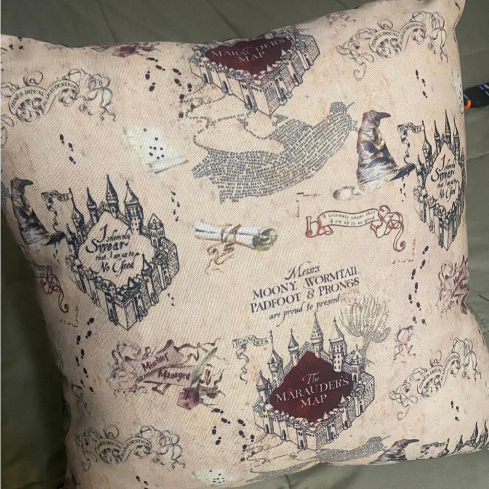 Harry Potter Throw Pillow